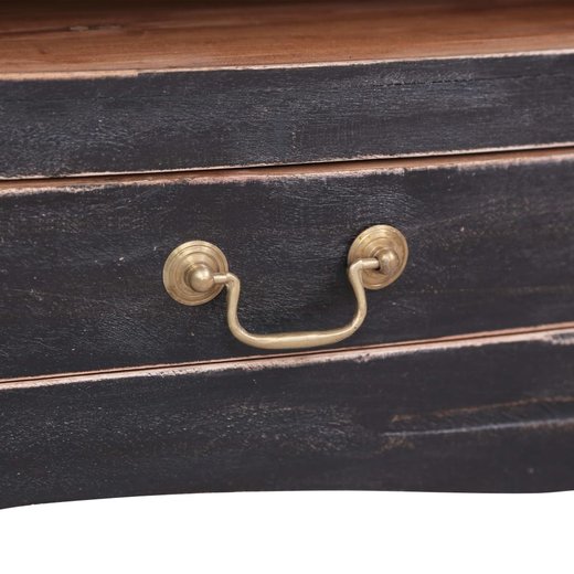 TV-Schrank 120x30x40 cm Schwarz Altholz Massiv