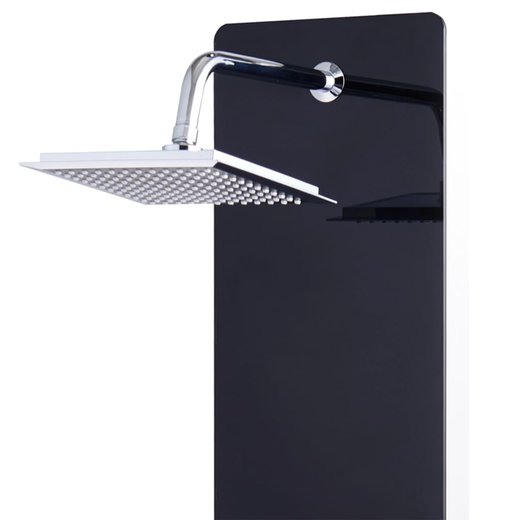 Duschpaneel Glas 2544,6130 cm Schwarz