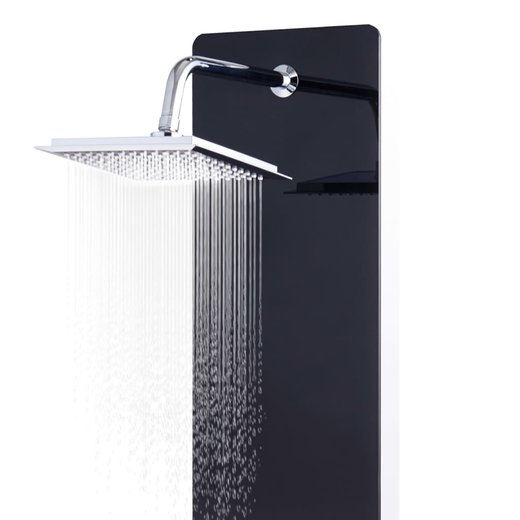Duschpaneel Glas 2544,6130 cm Schwarz
