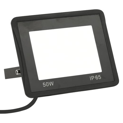 LED-Fluter 2 Stk. 50W Kaltwei