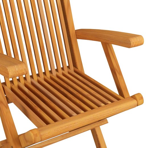 Gartensthle mit Weinroten Kissen 2 Stk. Massivholz Teak