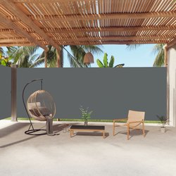 Seitenmarkise Ausziehbar Anthrazit 220x1000 cm