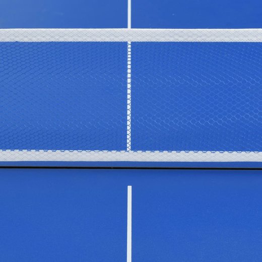Tischtennisplatte mit Netz 5 Fu 1527666 cm Blau