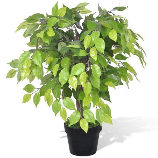 Knstlicher Zwerg-Ficus mit Topf 60 cm