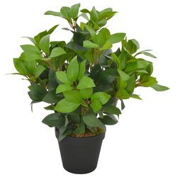 Künstliche Pflanze Lorbeerbaum mit Topf Grün 40 cm