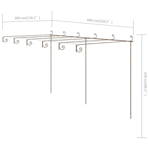 Garten-Rosenbogen Antik-Braun 6x3x2,5 m Eisen