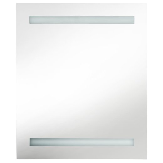 LED-Bad-Spiegelschrank 50 x 14 x 60 cm