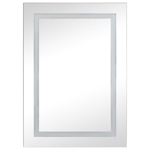 LED-Bad-Spiegelschrank 50x13x70 cm